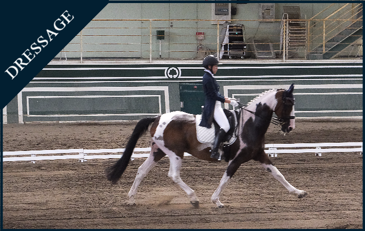 TSUMAGOI DRESSAGE