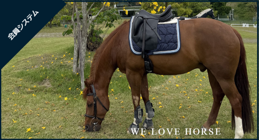 つま恋乗馬倶楽部入会案内