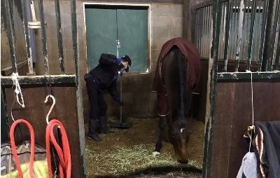 3名で厩舎のブロックごとにボロ取り