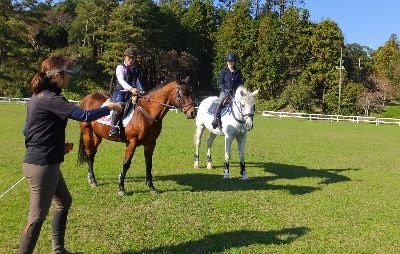 会員様のレッスンや担当馬の運動