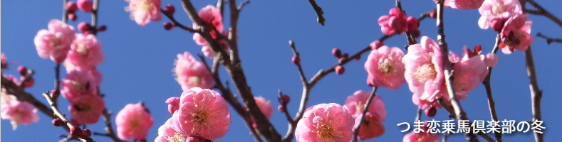 つま恋乗馬倶楽部の冬の景色