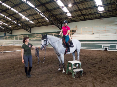 体験乗馬