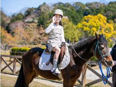 ふれあいポニー