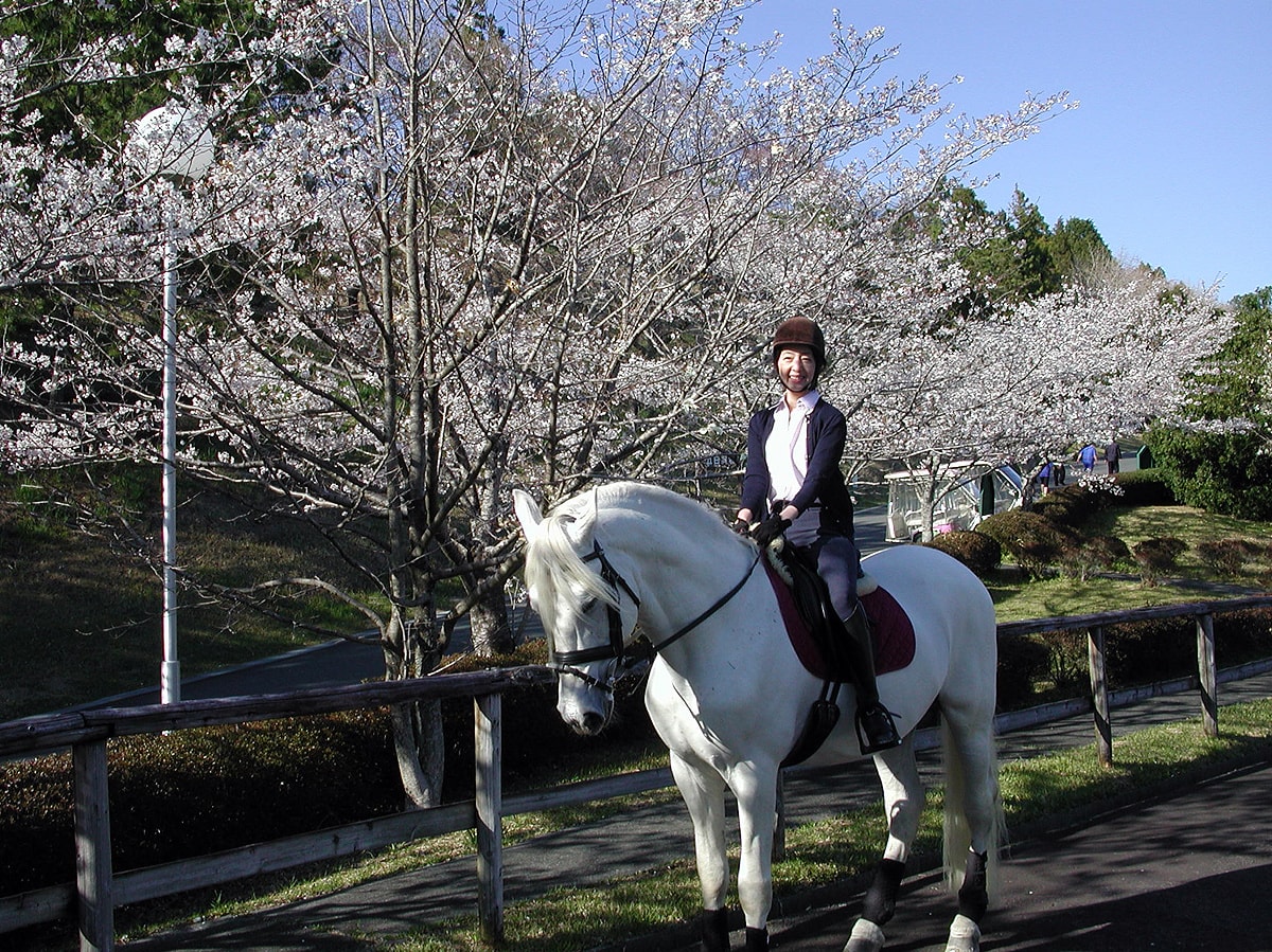 にんじんポニー